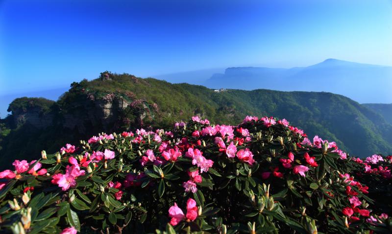 米倉山國家森林公園